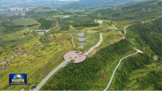 迎橄榄丰收 助乡村振兴 四川月博聚峰谷油橄榄产业带动金堂公园城市绿色低碳发展